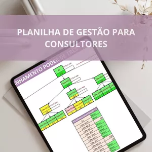 Imagem de capa para o Curso online Planilha de controle para consultores