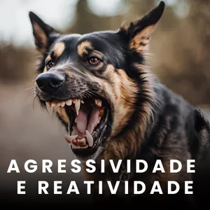 Imagem do curso AGRESSIVIDADE E REATIVIDADE 