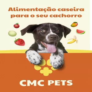 Imagem de capa para o Ebook Guia de alimentação caseira para seu cachorro com varias receitas!