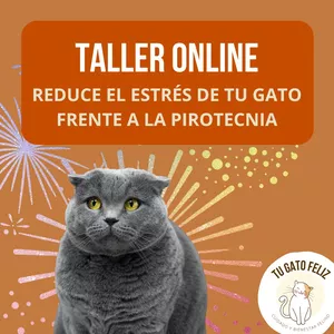 Imagen de portada para Curso online Taller Reduce el Estrés de tu Gato frente a la Pirotecnia