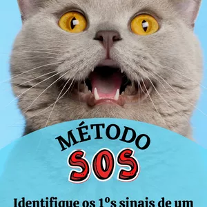 Imagem de capa para o Ebook Método S.O.S. 