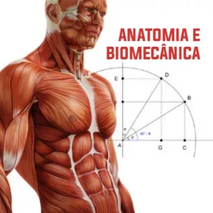 Imagem principal do produto E-Book - Anatomia e Biomecânica do Sistema Locomotor