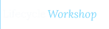 Lifecycle Workshop