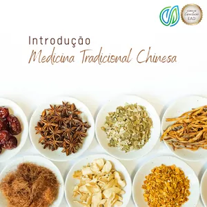 Imagem de capa para o Curso online Introdução à Medicina Chinesa EAD (online)