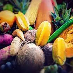 Imagem de capa para o Curso online Mentoria VIP Exportação de Agro