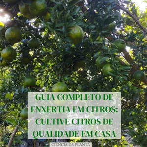 Imagem de capa para o Ebook Descubra a Melhor Época e Siga os Passos Certos para uma Enxertia de Sucesso