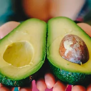 Curso de Produção de Abacate