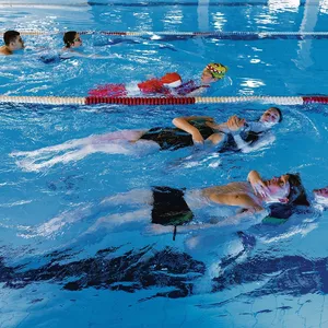 Imagem do curso Curso de natação- método infalível psicológico e prático, para todos poderem aprender a nadar, velhos e jovens, mesmo quem tem trauma! APROVEITA DA PROMOÇÃO 50% DESCONTO VALIDO SÓ HOJE