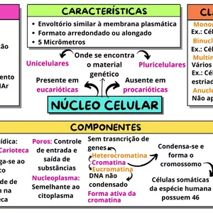 Imagem de capa para o Ebook MAPA MENTAL - NÚCLEO CELULAR