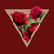 Rose Wild