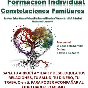 Imagen de portada para Curso online Formación en Constelaciones Familiares: Comprende y Transforma tu Historia