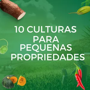 Imagem do curso 10 culturas ideais para pequenas propriedades