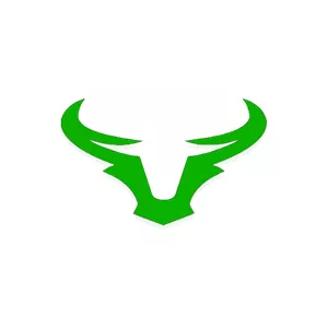 Imagem de capa para o Curso online Ninja de opções - Felipe Torino