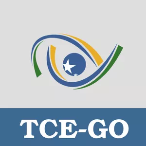 Imagem de capa para o Curso online TCE-GO - ENGENHARIA CIVIL