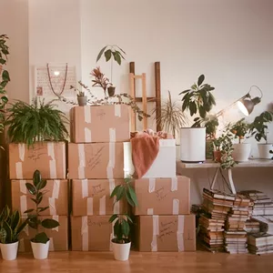 Imagem de Fraga criado por Rafael na hotmart