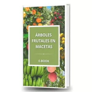 Imagen de portada para Ebook Arboles frutales en maceta E-Book