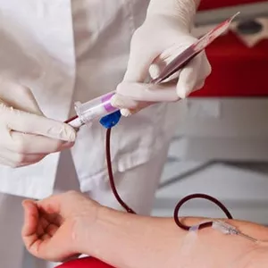Imagem do curso Hemoterapia