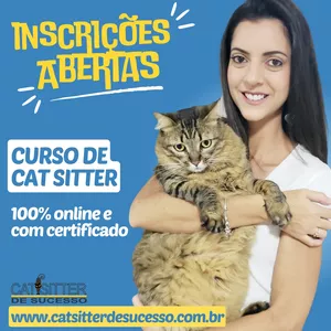 Imagem de capa para o Curso online Curso Cat Sitter de Sucesso