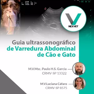 Imagem do curso Guia Ultrassonográfico de Varredura Abdominal de Cão e Gato