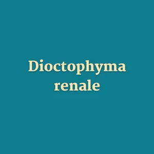 Imagem de capa para o Ebook Dioctophyma renale