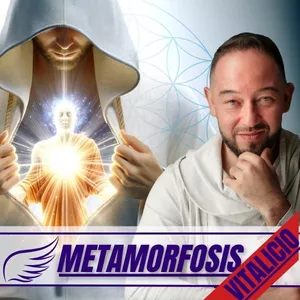 Imagen de portada para Curso online Entrenamiento Metamorfosis (4 Fases) - Acceso Vitalicio