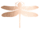 Peace Within