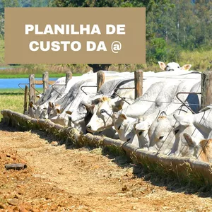 Imagem de capa para o Curso online PLANILHA DE CUSTO DE PRODUÇÃO DE @