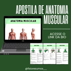 Imagem de capa para o Ebook Apostila de Antomia Muscular 