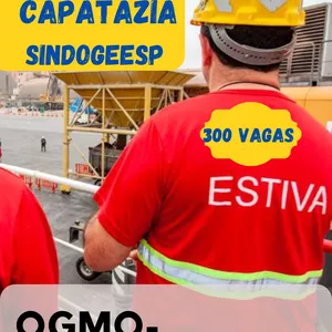 Imagem de capa para o Ebook Apostila (Capatazia) Processo seletivo Ogmo-Santos/sindogeesp 2024