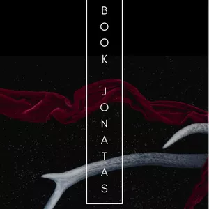 Imagem de capa para o Ebook ebook milionario jonatas