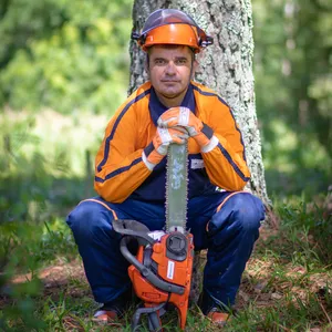 Imagem de capa para o Curso online Método GeMA - Gestão de Manejo de Árvores