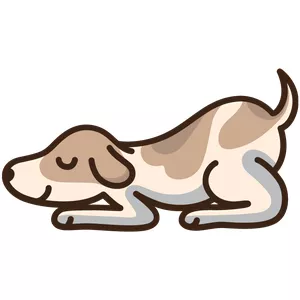 Imagem de capa para o Ebook 9 Passos para Escolher o Adestrador Correto para Seu Cão