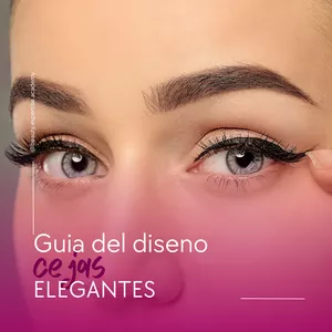 Imagen de portada para Ebook Guia "Cejas elegantes y Rentables"