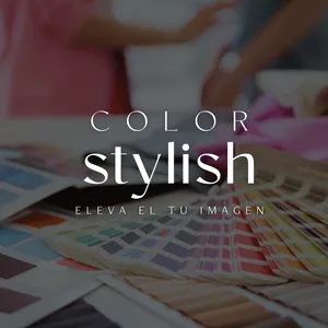 Imagen de portada para Curso online Color Stylish