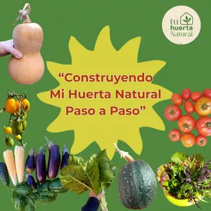 Imagen de portada para Curso online Construyendo Mi Huerta Natural Paso a Paso