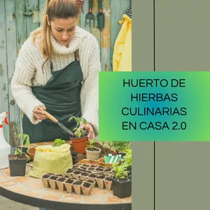 Imagen de portada para Curso online Guía de Huerto culinario en casa 2.0