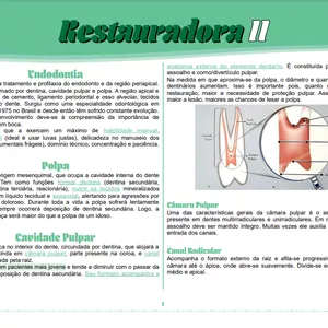 Imagem de capa para o Ebook Resumo de Endodontia