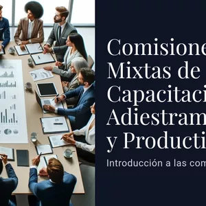 Imagen de portada para Curso online COMISIONES MIXTAS DE CAPACITACIÓN, ADIESTRAMIENTO Y PRODUCTIVIDAD