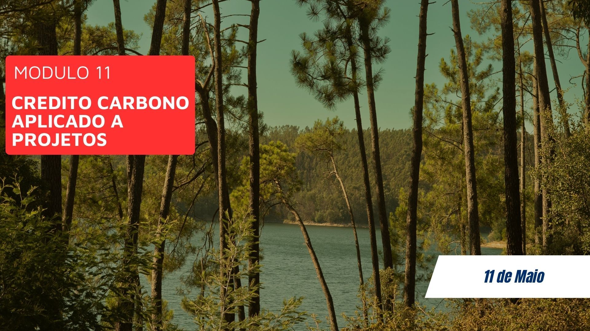 Imagem de MÓDULO 11 - CRÉDITO CARBONO APLICADO A PROJETOS criado por INSTITUTO VEM VIVER na hotmart