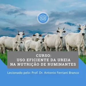 Capa do curso 