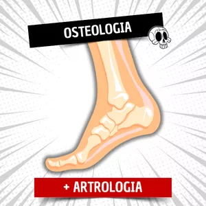 Imagem de capa para o Curso online Osteologia +  Artrologia