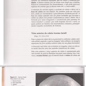 Imagem de capa para o Ebook Anatomia da Face 