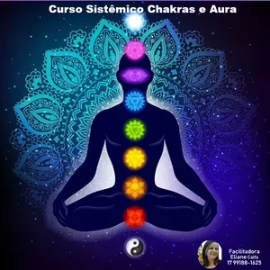 Imagem do curso Curso Sistêmico de Chakras e Aura