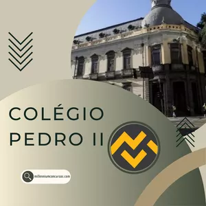 Imagem de Curso Online COLÉGIO PEDRO II 2022 Técnico em Assuntos Educacionais criado por Millennium Concursos na hotmart