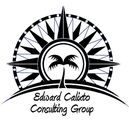 The Computer Services Business Owner Academy logo