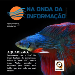 Imagem de capa para o Ebook Na Onda da Informação (revista digital - volume 2)