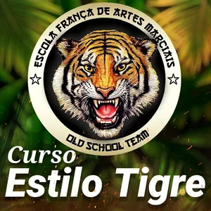 Imagem de capa para o Curso online Curso Completo de Kung Fu Estilo Tigre