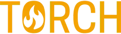 Torch Technology Solutions's School logo