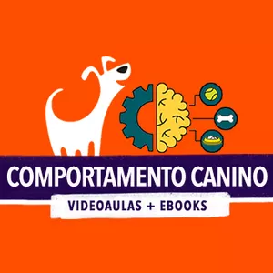 Imagem de Curso online de Comportamento Canino criado por FitDog Adestramento na hotmart