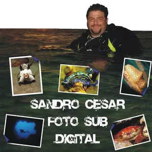 Imagem do curso Curso de Fotografia subaquática digital 